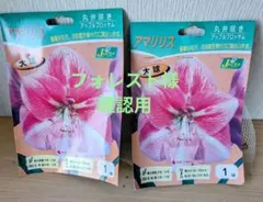 フォレスト様 リクエスト 3点 まとめ商品