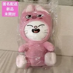 Stray Kids SKZ TOY WORLD 抱きぬいぐるみ Jiniret - メルカリ
