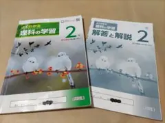 Item thumbnail for item 19e3710f-9400-480c-8dbb-54ffb7773f38