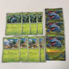 ポケカ￤フシギダネ　フシギソウ　メガフシギバナex RR 進化ライン