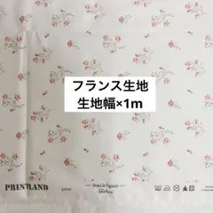 フランス生地 sous le figuier fabrics 生地幅×1m