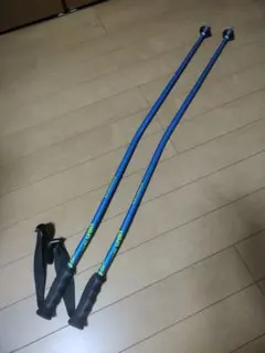 スキーストック　GSスキーストック　112cm アルミ