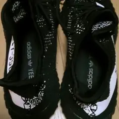 Adidas yeezyboost 350 v2