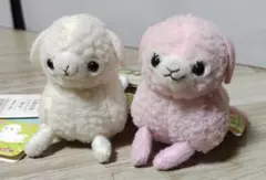 【匿名配送】ベイビーアルパカッソ アルパカ アミューズ ぬいぐるみ マスコット