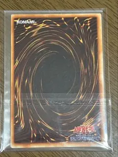【アース様用】遊戯王OCG デュエルモンスターズ カード 裏面 アース様用】遊戯王OCG デュエルモンスターズ カード 裏面 - メルカリ