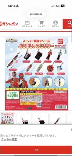 スーパー戦隊シリーズ めじるしアクセサリー