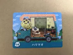 あつ森　amiiboカード 08 ハリマオ