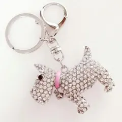 Item thumbnail for item 2d55c64e-9fb1-4c2f-908e-ecba182a4cb9