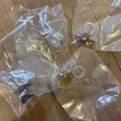 Item thumbnail for item 1d60bf86-6786-424e-9682-f2a932be6d28