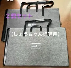 トモ様専用 EcoFlow 125W ソーラーパネル 専用バッグ 収納ケース4枚