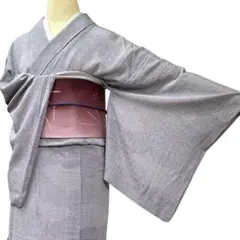 A81愛華 洗える夏着物 色無地　小紋　正絹　トールサイズ　身丈165cm
