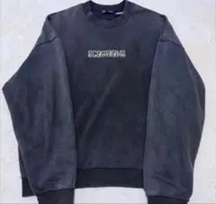ZARA Mサイズ　スウェット　トレーナー　長袖　scorpionsのサムネイル