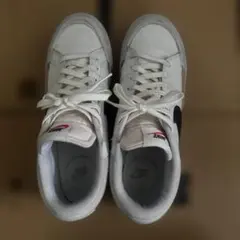 Item thumbnail for item 12f48847-d803-4e86-9e74-2ef9b303051b