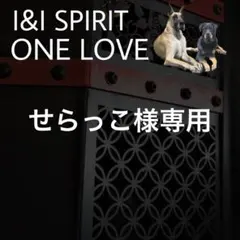 専用ページ