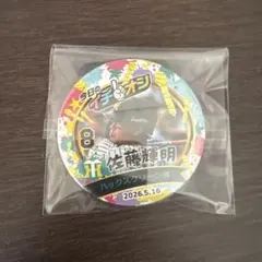 2026年最新】甲子園の土の人気アイテム - メルカリ