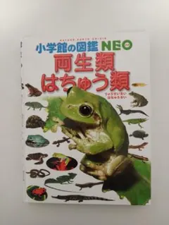 小学館の図鑑NEO 両生類・はちゅう類