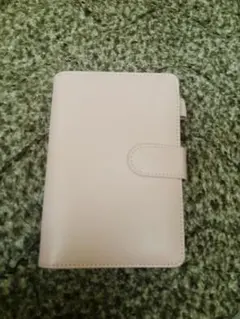 Item thumbnail for item 62a71680-7a67-4470-aa09-7106573b6035