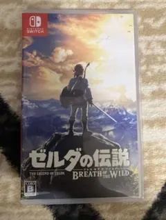 ゼルダの伝説 ブレス オブ ザ ワイルド