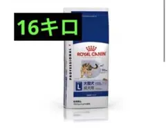 Item thumbnail for item 3882ac86-6c33-4852-b083-32329fd3bc7d