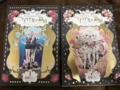 ツインドルの箱庭 愛蔵版　初版　1、２巻　稚野まちこ