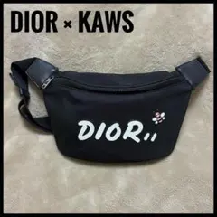 2026年最新】dior kawsの人気アイテム - メルカリ