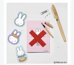 Item thumbnail for item c6341c18-22b8-4661-b267-36f5312b87d4