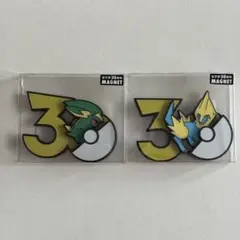 コリンク　ルクシオ　レントラー　ポケモン　30周年　マグネット ポケモン 30周年記念 マグネット レントラー コリンク ルクシオ セット