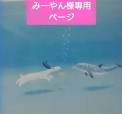 みーやん様専用ページ