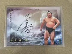 Item thumbnail for item 3332f5eb-a00f-4c63-9c08-e072e6dec196