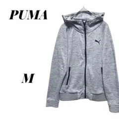 【プーマ】PUMA フード付きスウェットパーカー 裾ボーダー ジップパーカー M