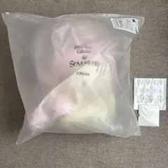 SEVENTEEN ジョンハン TORAM トラムのサムネイル