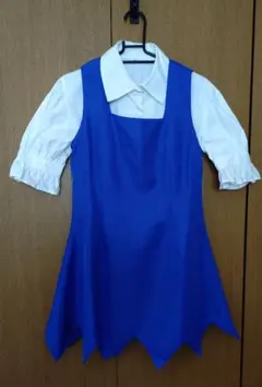 東方project チルノ 衣装のサムネイル