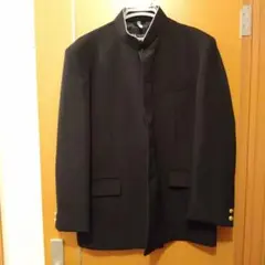 Item thumbnail for item dfed8c1b-beef-49c9-bf66-afb43e727d4d