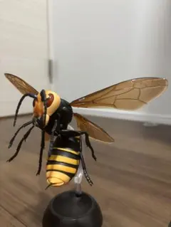 オオスズメバチ　いきもの大図鑑すずめばち　昆虫　生き物　ガチャ