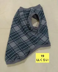 Item thumbnail for item c8330b25-edc8-44cb-9dde-179519802b9f