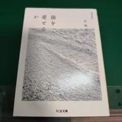 傷を愛せるか 増補新版 宮地尚子 ちくま文庫