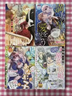 TL小説 まとめ売り 4冊セット ティアラ文庫