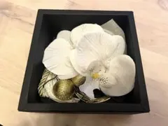 髪飾り胡蝶蘭　ヘアアクセサリーセット