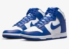 Dunk High Game Royal 27㎝