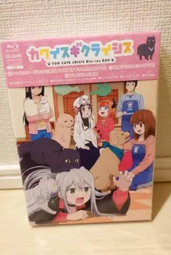 Item thumbnail for item 9e0bf8d0-e6c6-472f-a64d-238ff5185a1a