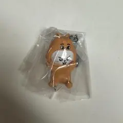 SKZOO リービット つまんでつなげてますこっと vol.2 スキズー