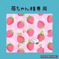 ユキエモンアイシングクッキー限定色✤フラットポーチ