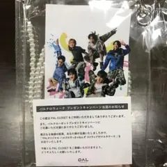 ★ “パルクロすっきゃねんず”ストラップ付マルチケース