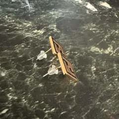 Item thumbnail for item e80d0970-0da3-42ee-8041-5212244de246