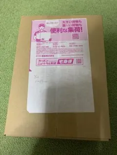 ポケモンカードゲーム MEGA ドリームEX BOX