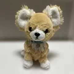 PUPS パプス Sunlemon チワワ ぬいぐるみ　サンレモン