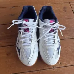 Mizuno バレーボール バドミントン シューズ 24cm