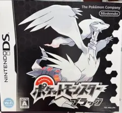 ポケットモンスターブラック【初期化・動作確認済み】説明書付き
