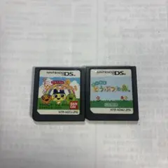 ニンテンドーDSソフト 2本セット