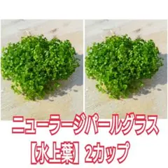 コリパンダ様 リクエスト 3点 まとめ商品